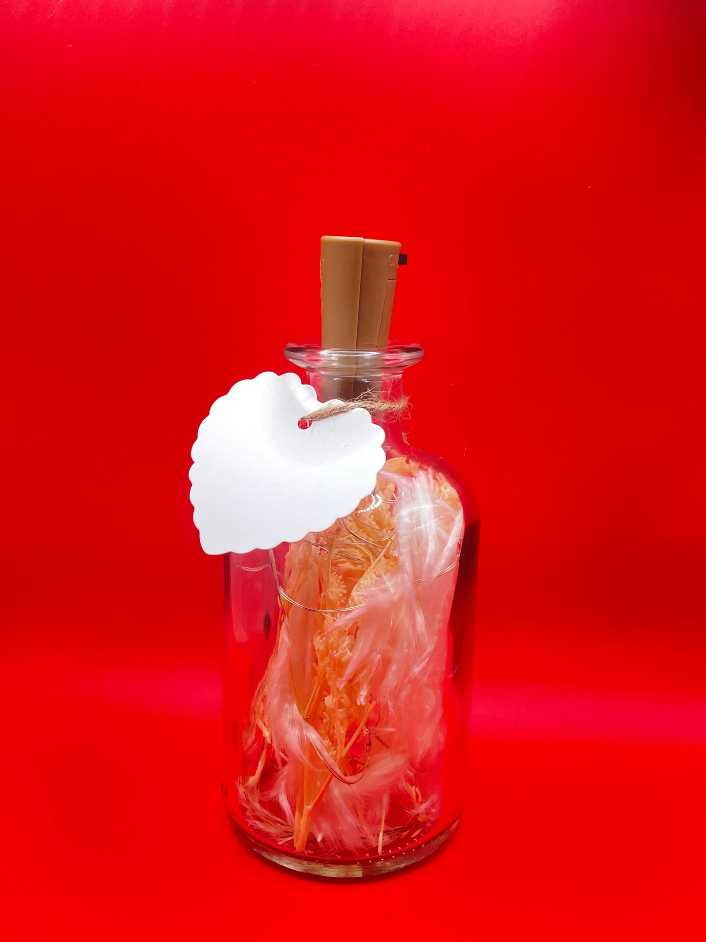 flowerbottle pampasgras im apothekerglas - Flowerbottles